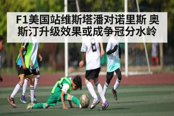 F1美国站维斯塔潘对诺里斯 奥斯汀升级效果或成争冠分水岭（c7c7.app）